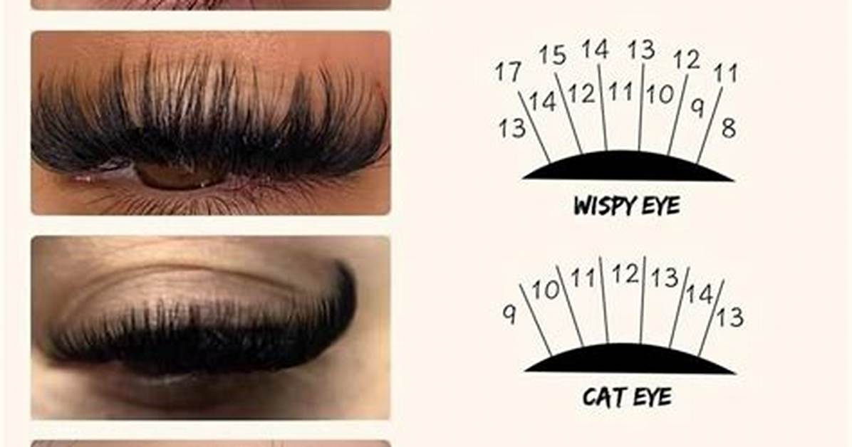 Where Do Lashes Go?