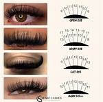 Where Do Lashes Go?
