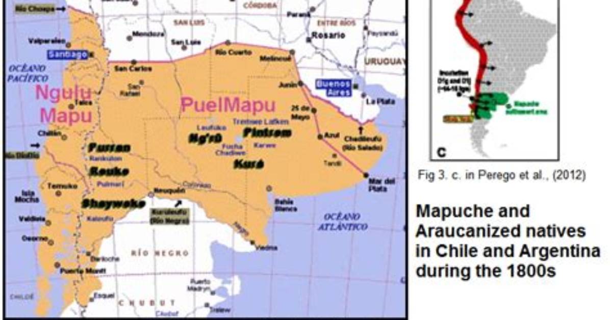 Where Do Mapuche Live?