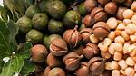 Where Do Most Nuts Grow