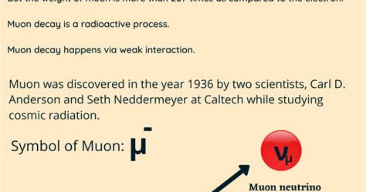 Where Do Muons Exist?