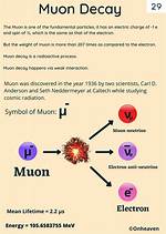 Where Do Muons Exist?