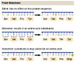 Where Do Mutations Occur