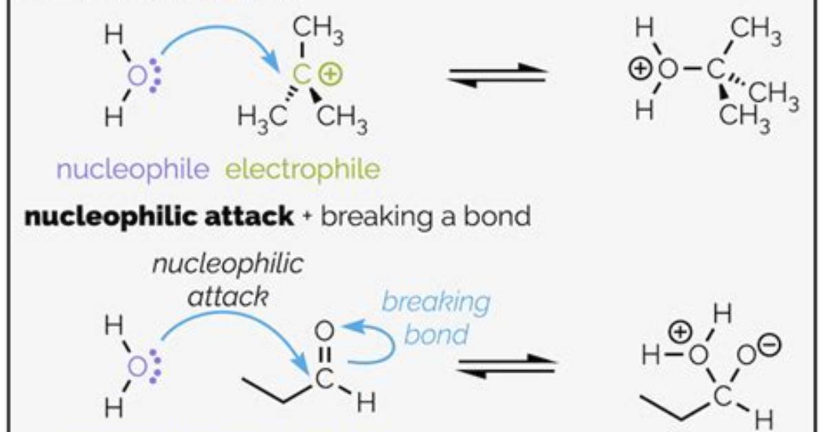 Where Do Nucleophiles Attack?