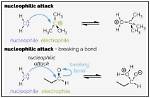 Where Do Nucleophiles Attack?