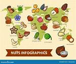 Where Do Nuts Come From