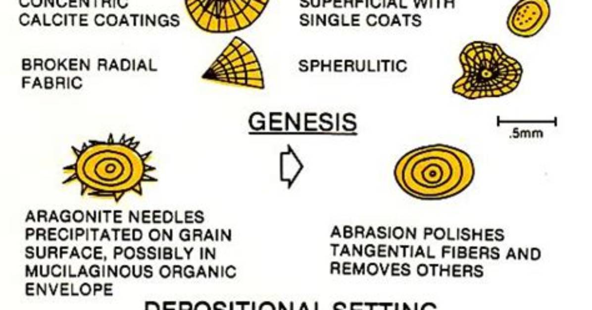 Where Do Oolites Form?