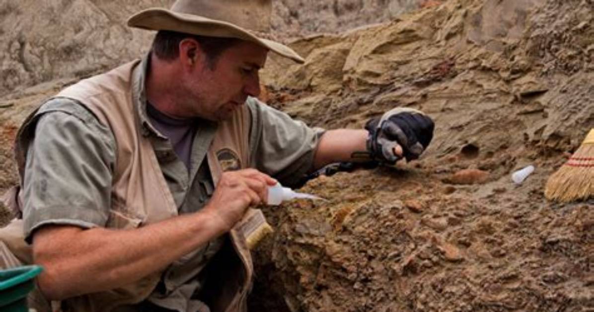 Where Do Palaeontologists Work?