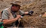 Where Do Palaeontologists Work?