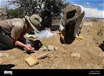 Where Do Paleontologists Dig?