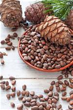 Where Do Pine Nuts Come from?