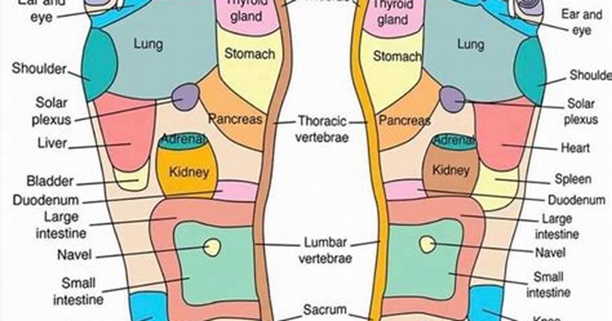 Where Do Reflexology Work?