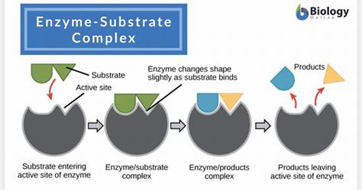 Where Do Substrates Come from?