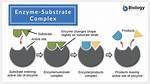 Where Do Substrates Come from?