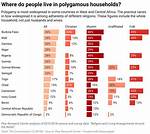 Where Do the Polygamous Live?