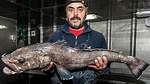 Where Do Toothfish Live?