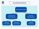 Where Do We Use Polymorphism in Java?