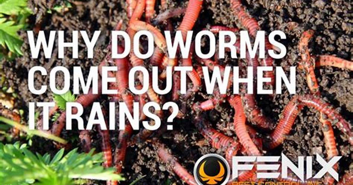 Where Do Worms Come from?