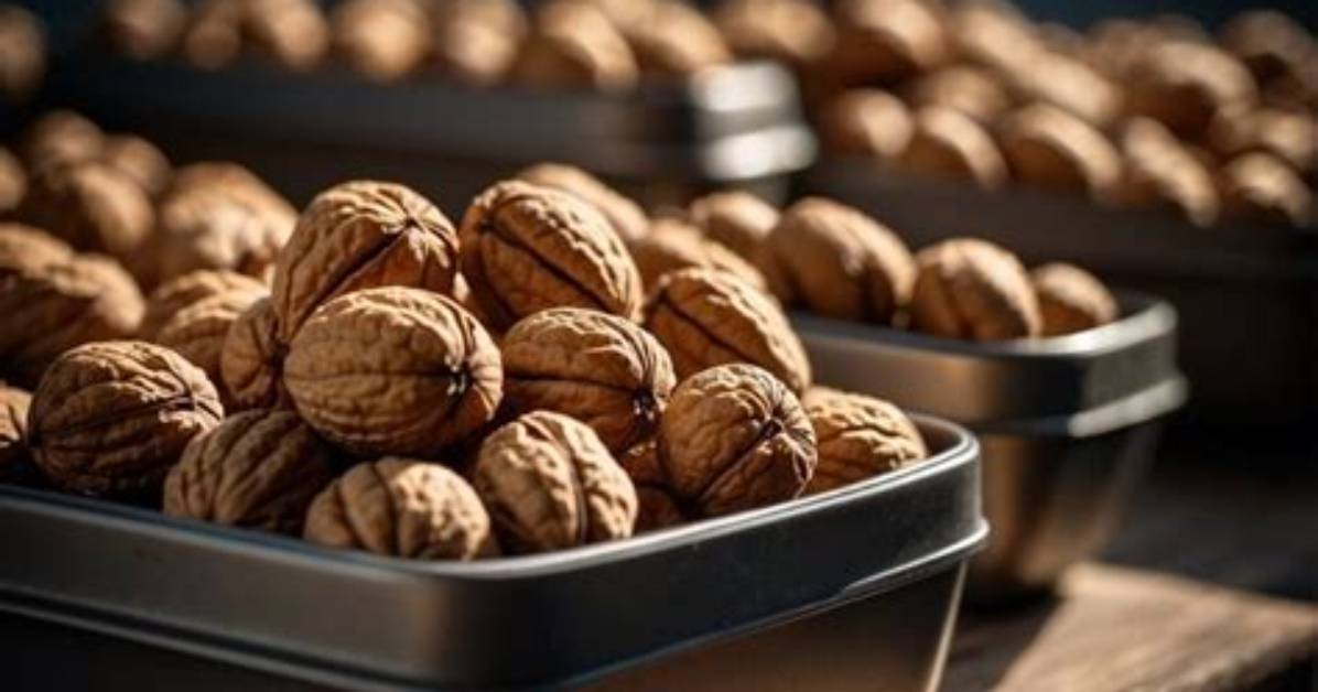 Where Do You Store Walnuts