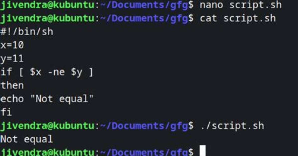 Where Do You Write Scripts in Linux?