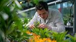 Where Does a Botanist Work?