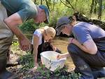 Where Does a Geomorphologist Work?