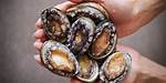 Where Does Abalone Come from?