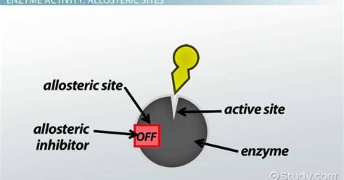 Where Does Allosteric Come from?