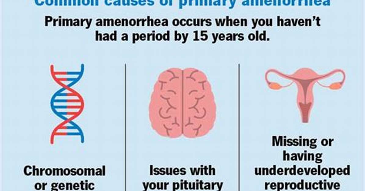 Where Does Amenorrhea Affect?