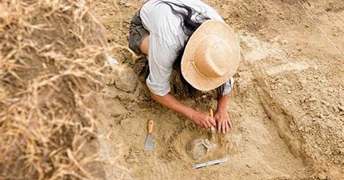 Where Does Archeologist Work?
