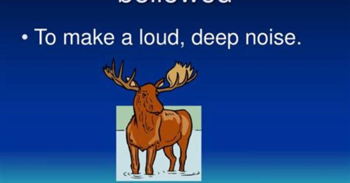 Where Does Bellowed Come from?