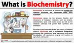 Where Does Biochemical Mean?