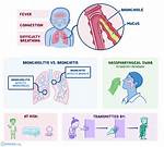 Where Does Bronchiolitis Come from?