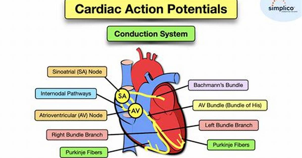 Where Does Continuous Conduction Occur?