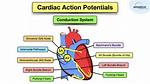 Where Does Continuous Conduction Occur?