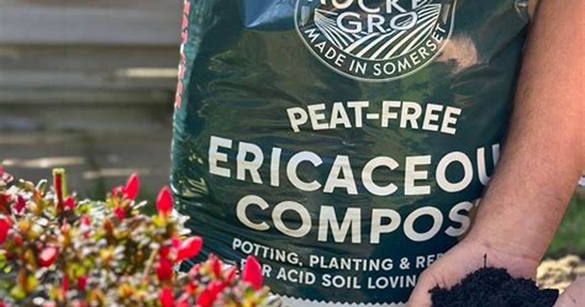 Where Does Ericaceous Compost Come from?