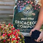 Where Does Ericaceous Compost Come from?