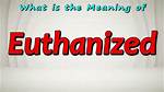 Where Does Euthanized Mean?