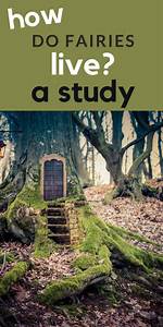 Where Does Fairies Live?