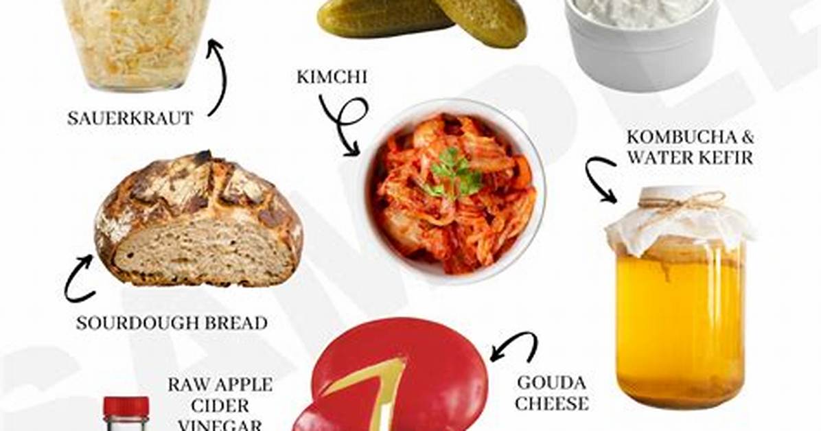 Where Does Fermented Come from?