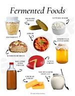 Where Does Fermented Come from?