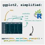 Where Does Ggplot2 Come from?
