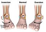 Where Does Inversion and Eversion Occur