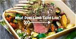 Where Does Lambasted Come from?