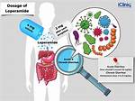 Where Does Loperamide Act?