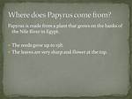Where Does Papyrus Come from?