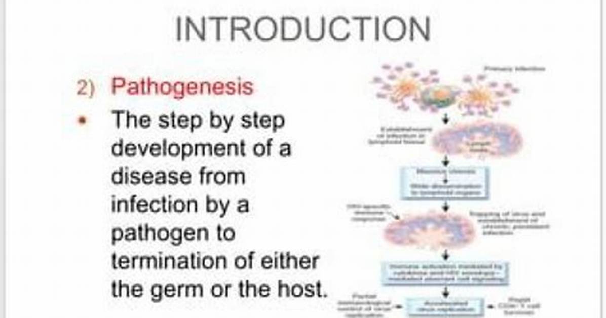 Where Does Pathogenesis Originate from?