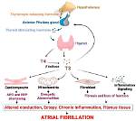 Where Does Pathophysiology Come from?