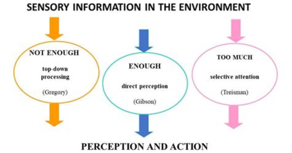Where Does Perception Occur?