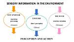 Where Does Perception Occur?